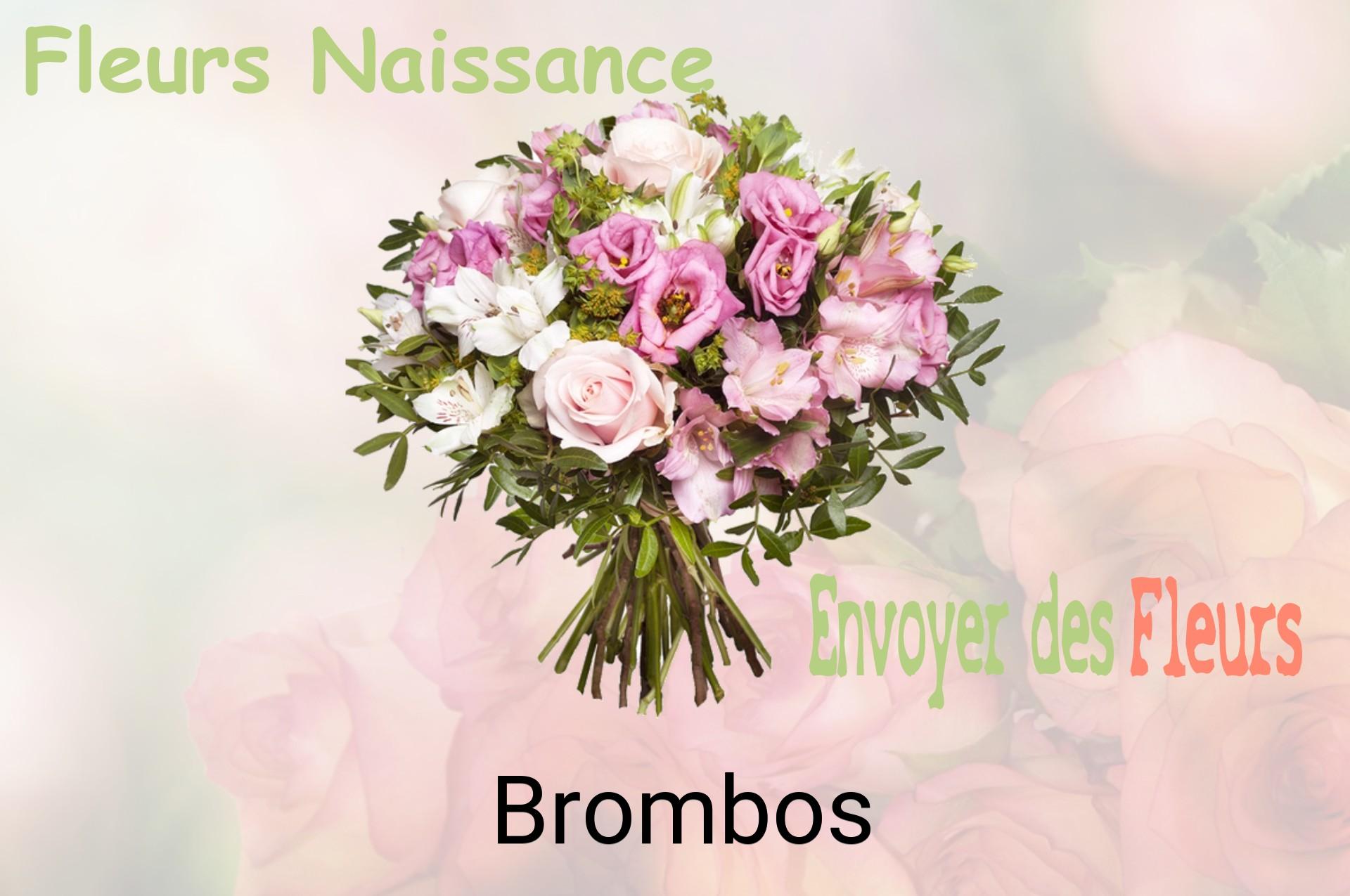 Bouquet de fleurs de naissance livré à Brombos